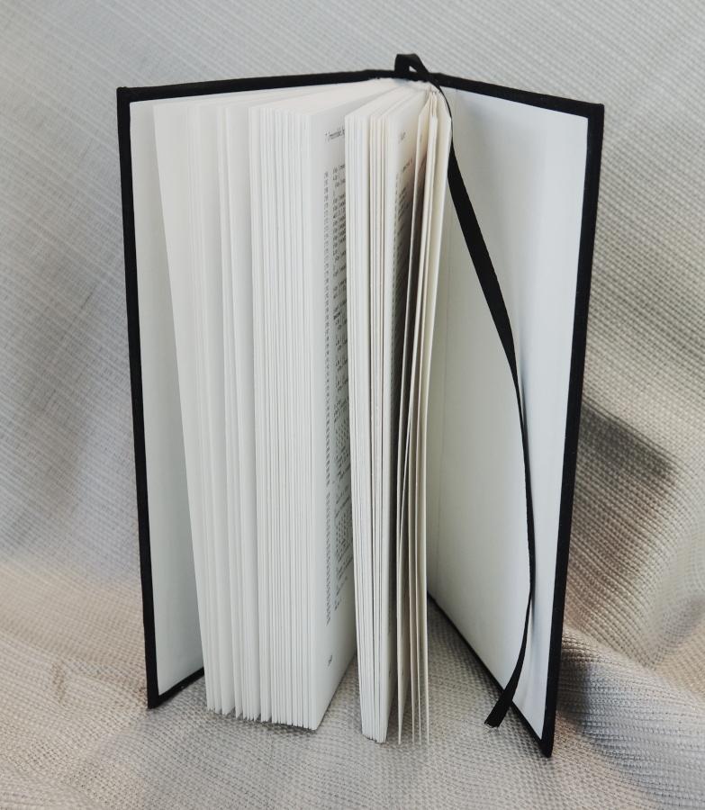 Photo of the Steganography book.